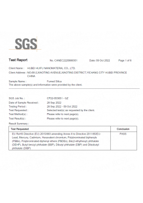 SGS Report